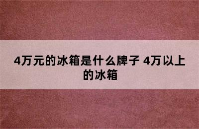 4万元的冰箱是什么牌子 4万以上的冰箱